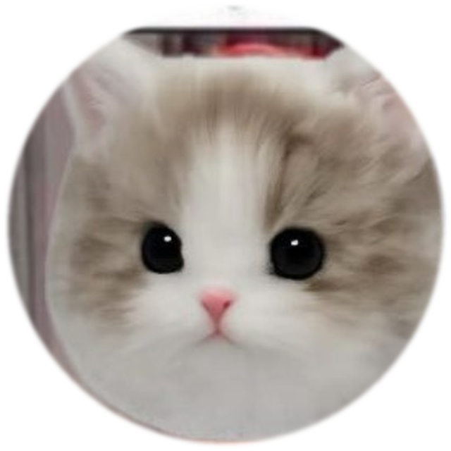 Miu stares into your soul
